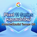 Pixel 11 Series หลุดสเปกใหม่ คาดมาพร้อมชิป Tensor G6 กล้องอัปเกรด และไฟ Pixel Glow คล้าย Nothing